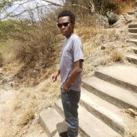 Limax Siele