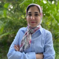 Naemeh Pourshafie