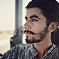 Hamza Saleem