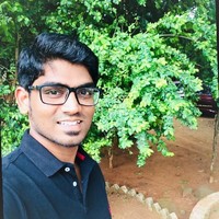 Vignesh Raja S
