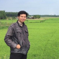 Hoài Nhã Thái Nguyễn
