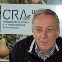 Alessandro Liverani