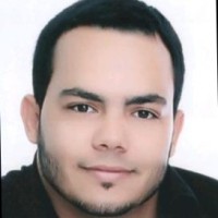 Lorenzo Manzan Borges