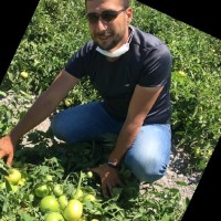Ahmet Nar