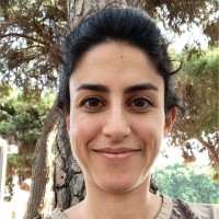 Maayan Cohen