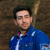 amir safyari