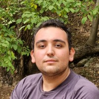 Ramtin Vedadi