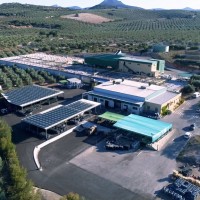 Ignacio Loring Lasarte