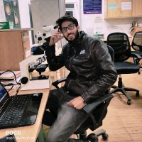 Dr. Shaheen Majeed Wani
