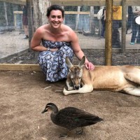 Dominique Thistleton