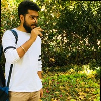 Mayur Arya