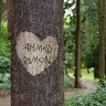 Ahmed Rimon
