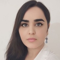 Ronak Mohammadi