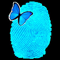 Touch Biz
