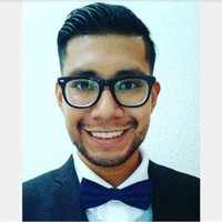 Javier Alejandro Villamar Galicia