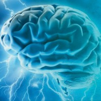 Neuroscience Andpsychiatry