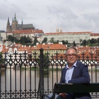 Marcelo Vilela Ferre Ferreira