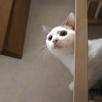 徐海航