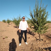 Mehmet Yazar