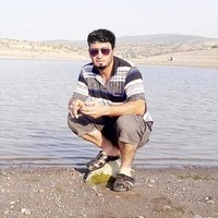 ياسر محمود