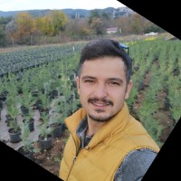 TİMUÇİN KİŞİ