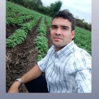 Luis Alonso Torino
