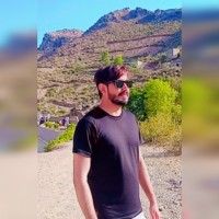Muhammad Tariq