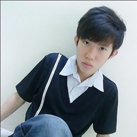 Chan Vin Son