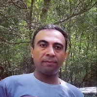Reza Sabeey