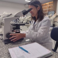 Emilene Gomes Carvalho