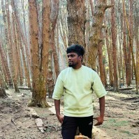 Arunkumar Ramesh
