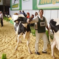 Daniel Marinho