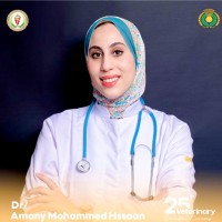 Amany Hssaan