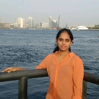 Nikita Rajapantula