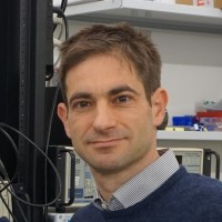 Martino Poggio
