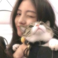 Jq Lee
