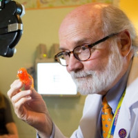 Daniel Karr