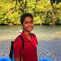 Sindhu Br