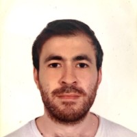 Arin Zeyneloglu
