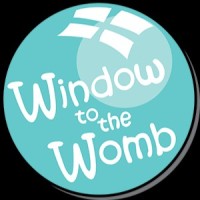 Window To The Womb Alton, Hampshire
