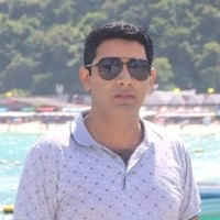 Prof. Dr. Engr. M Malook Rind