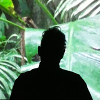 Adam Elliott