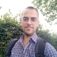 Ali Hammed