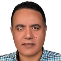 Hossam Abdelhalim.