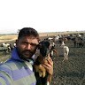 Bharath Roy
