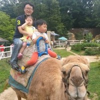정기수