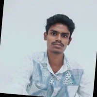 Raman S