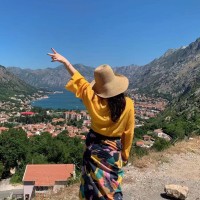 Travel Diplomat