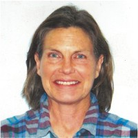 Sandra Moser, Sa, Icp