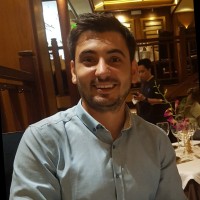 Florin Valentin Visan